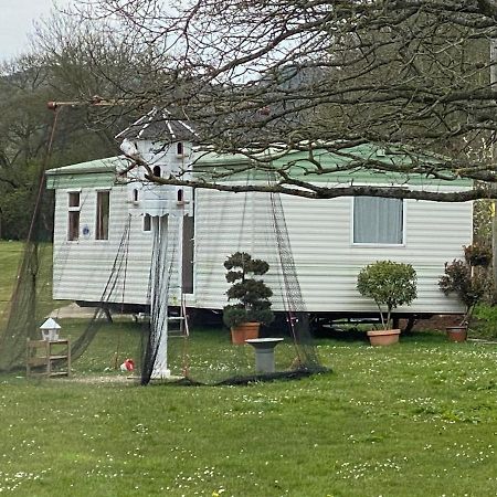 The Nest - Family Friendly Caravan Nr Glastonbury & Street Сомертон Екстер'єр фото