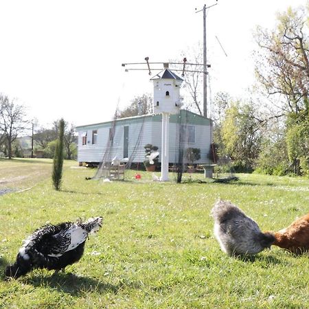 The Nest - Family Friendly Caravan Nr Glastonbury & Street Сомертон Екстер'єр фото