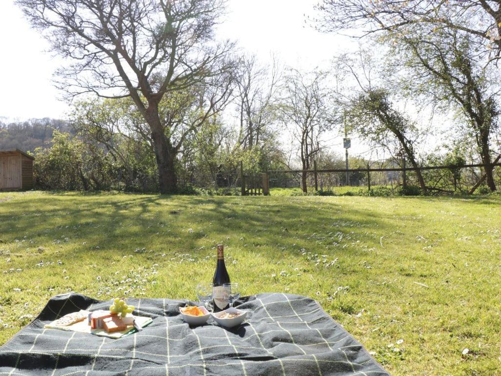 The Nest - Family Friendly Caravan Nr Glastonbury & Street Сомертон Екстер'єр фото
