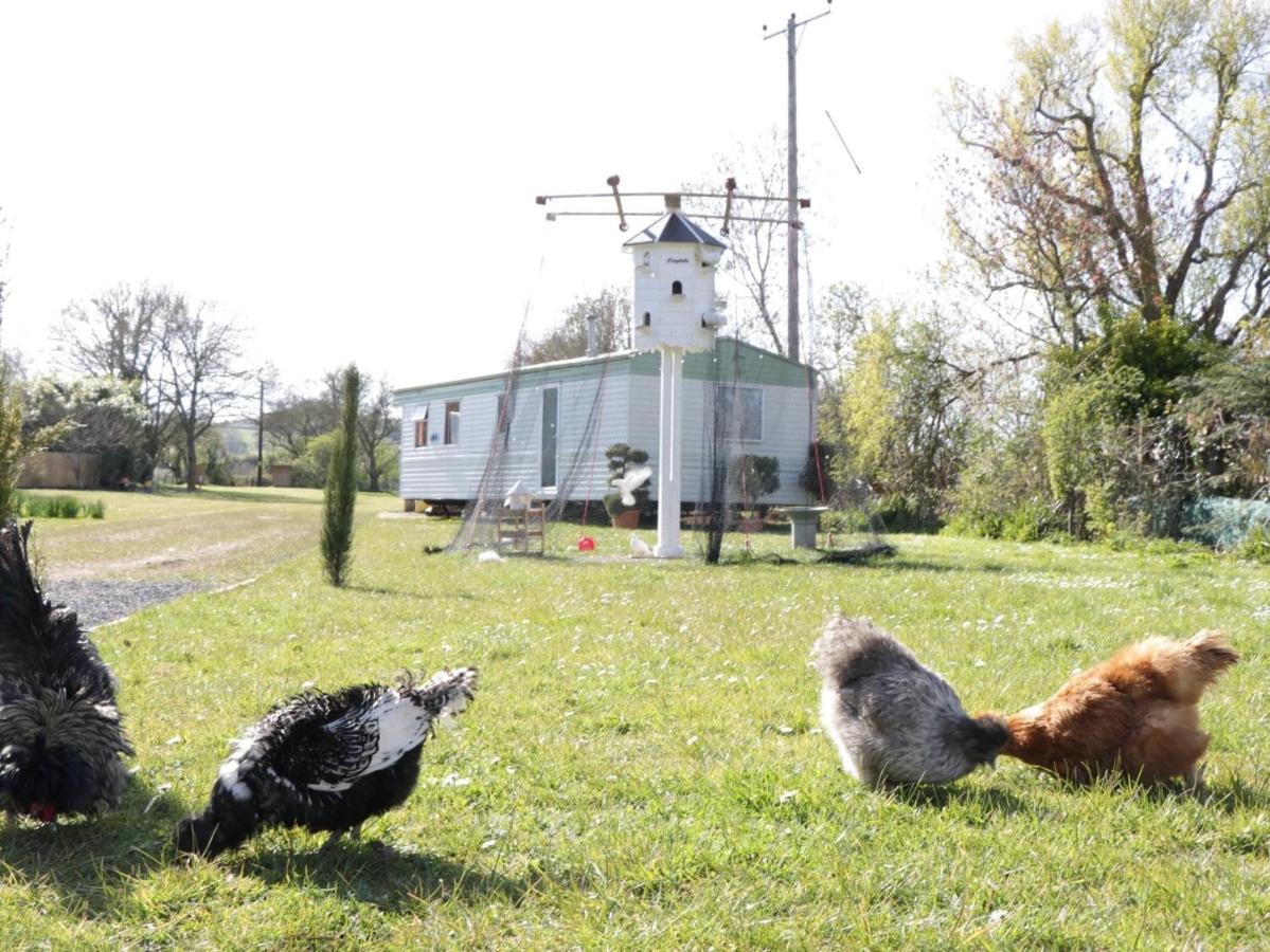 The Nest - Family Friendly Caravan Nr Glastonbury & Street Сомертон Екстер'єр фото